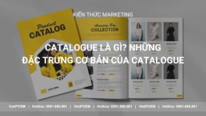 Catalogue là gì? Những đặc trưng cơ bản của Catalogue